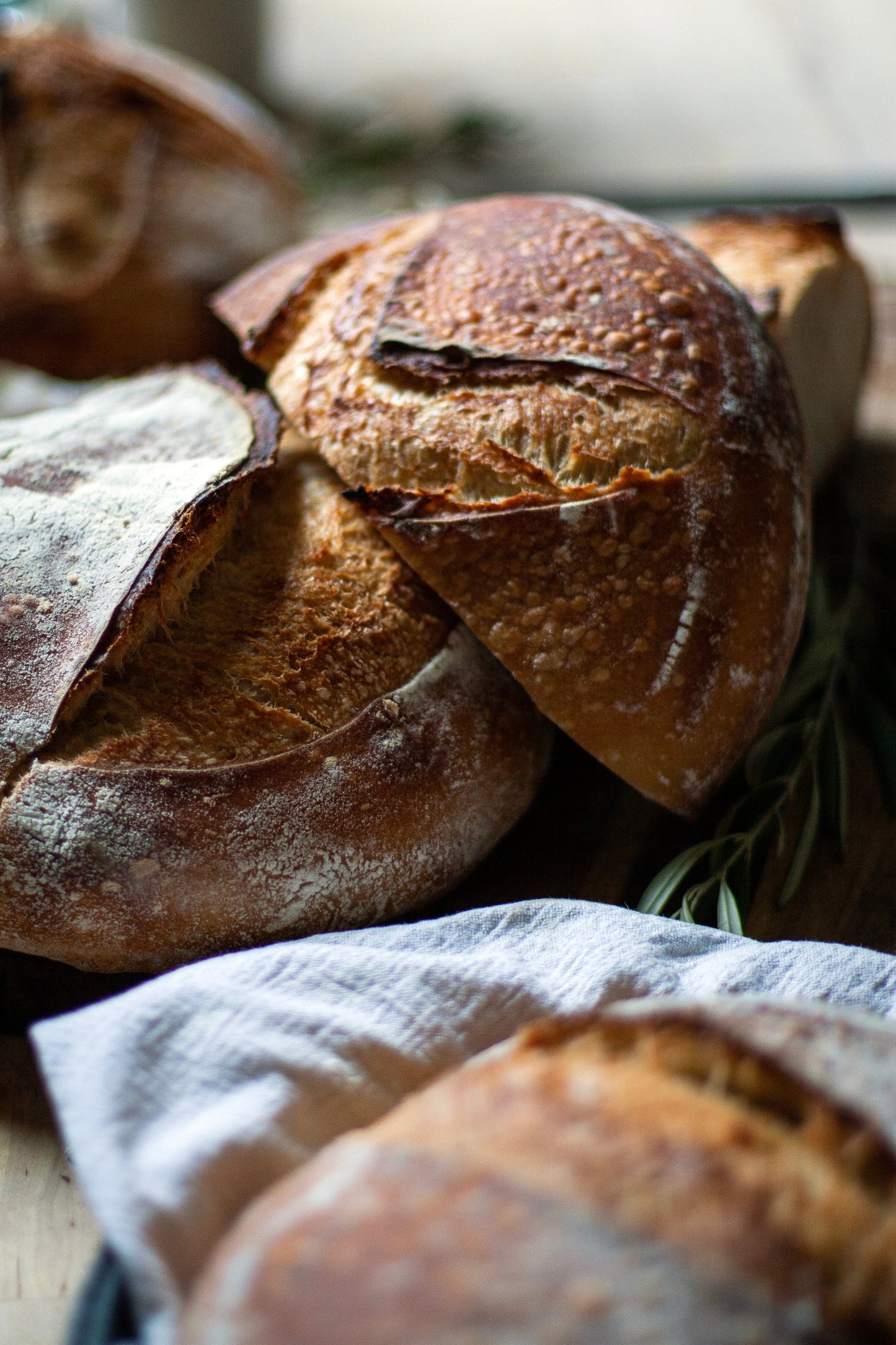 Sourdough Workshop