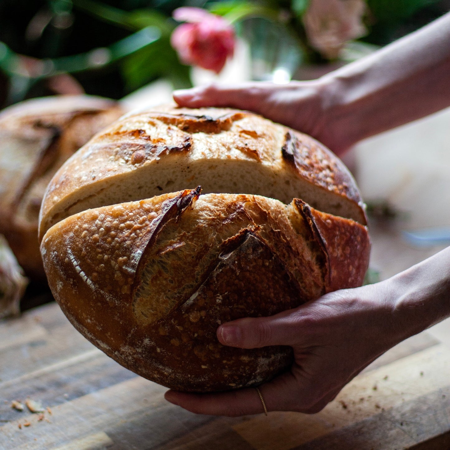 Holiday Boule